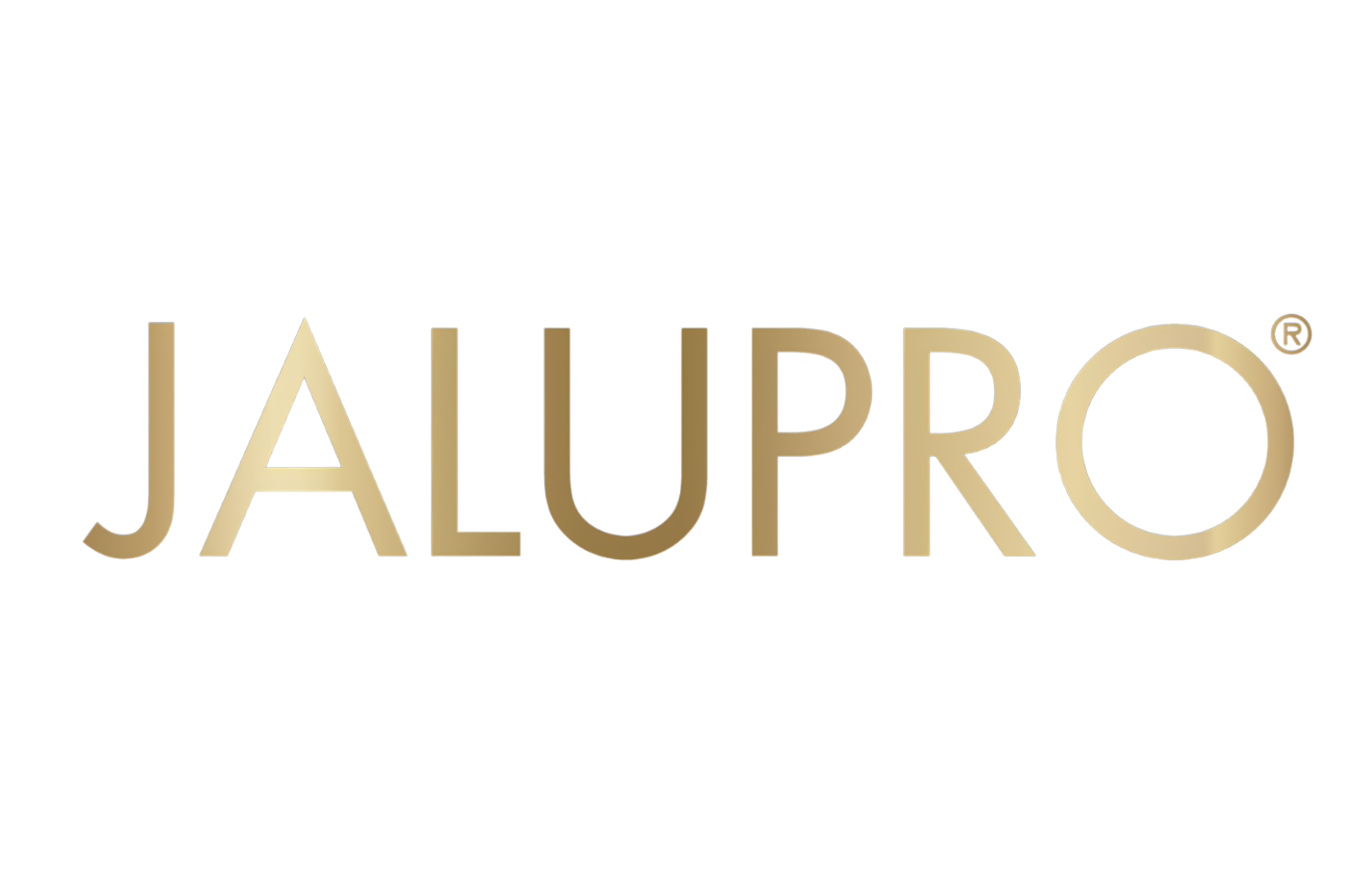 Logo 6